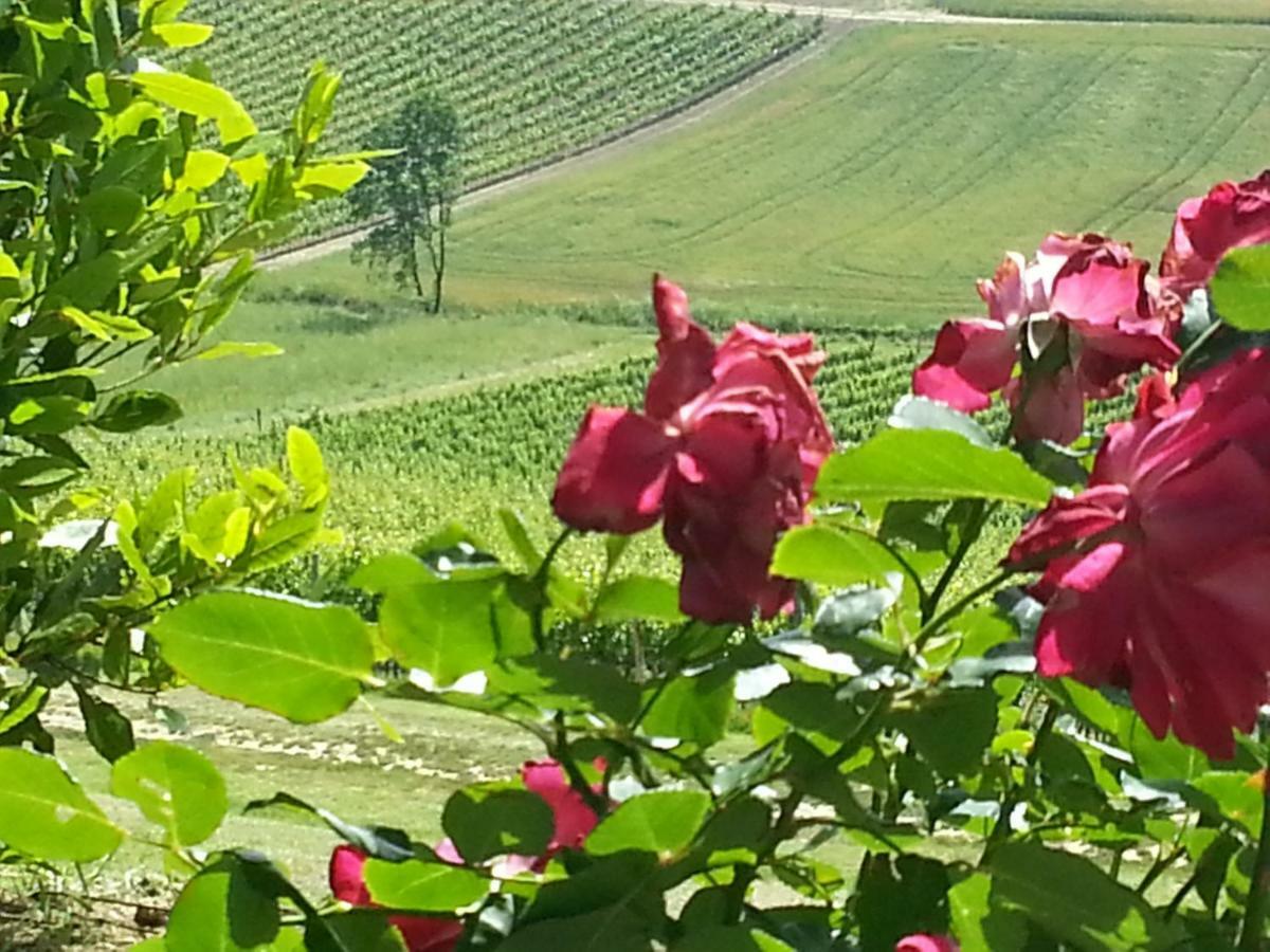 Willa Casale Di Valle Vinci Zewnętrze zdjęcie